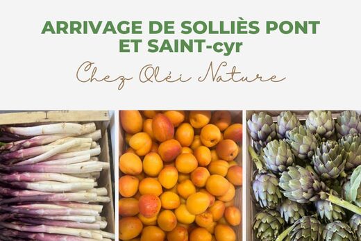 Arrivage Fruits et Légumes frais Solliès Pont et Saint Cyr