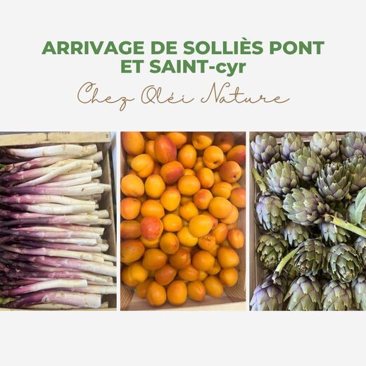 Arrivage&#x20;fruits&#x20;et&#x20;l&#x00E9;gumes&#x20;frais&#x20;de&#x20;Solli&#x00E8;s&#x20;Pont&#x20;et&#x20;Saint-Cyr