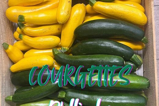 Arrivage courgettes d'Ollioules