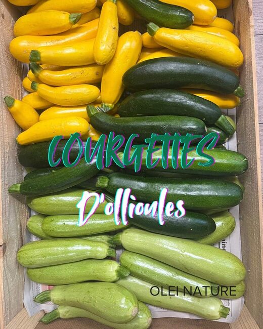 Arrivage&#x20;courgettes&#x20;d&amp;&#x23;8217&#x3B;Ollioules